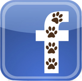 Visit NAFA on Facebook!