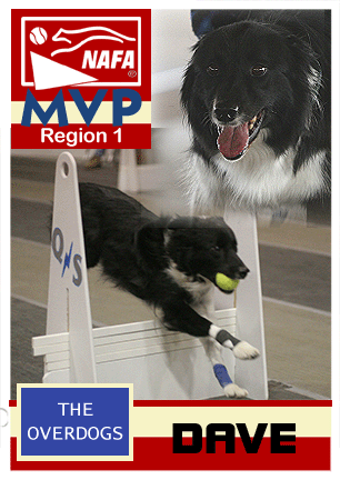 Region 1 - Dave