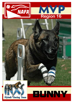 Region 16 - Bunny