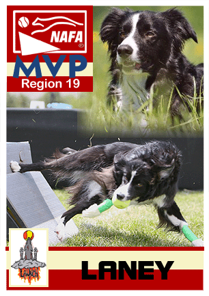 Region 19 - Laney
