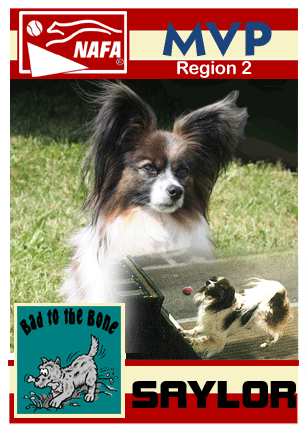 Region 2 - Saylor