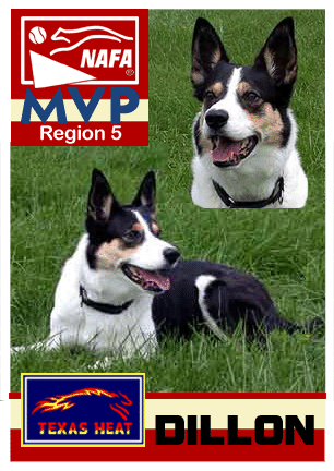 Region 5 - Dillon