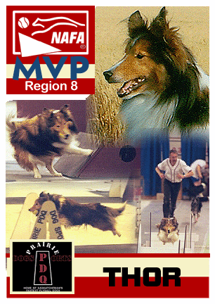 Region 8 - Thor
