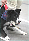 View the latest in training