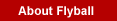 About Flyball section